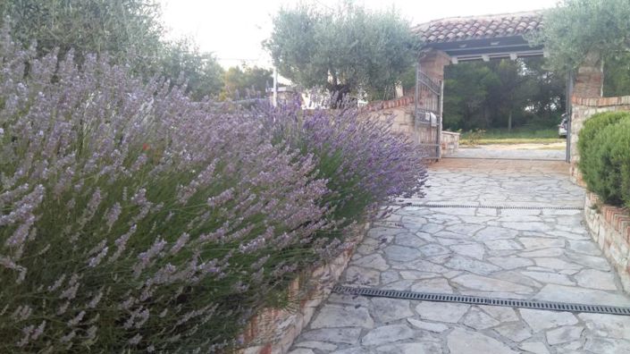 Image No.4-Property for sale