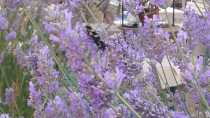 Image No.5-Property for sale