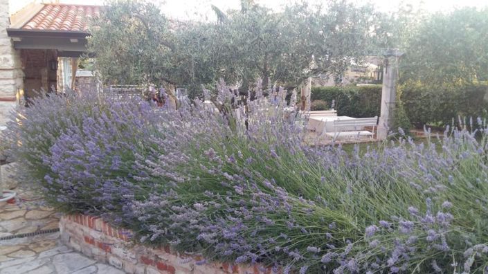 Image No.6-Property for sale