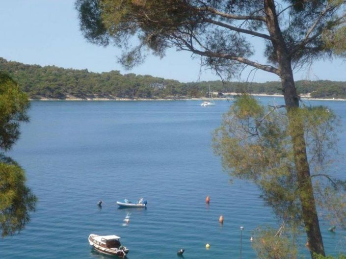 Image No.25-7 Bed Property for sale