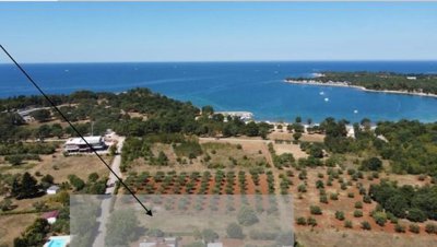 1 - Porec, Property