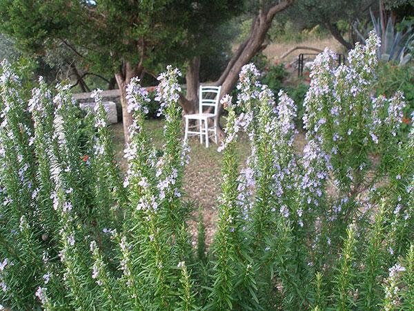 Image No.5-Property for sale