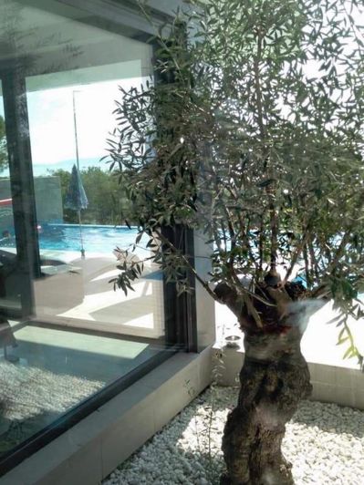 Image No.7-6 Bed Property for sale