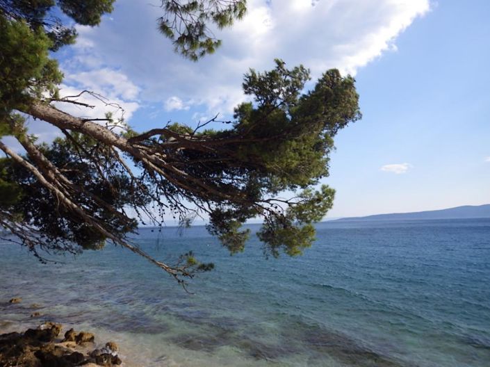 Image No.23-19 Bed Property for sale