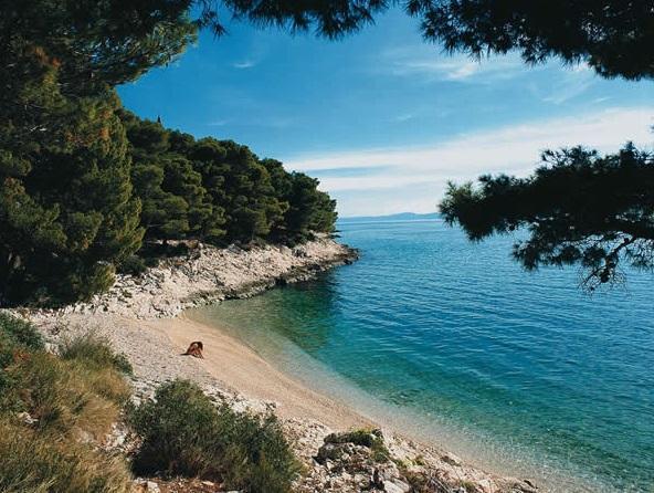 Image No.4-11 Bed Property for sale