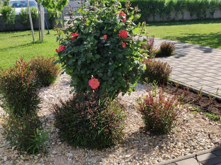 Image No.19-6 Bed Property for sale