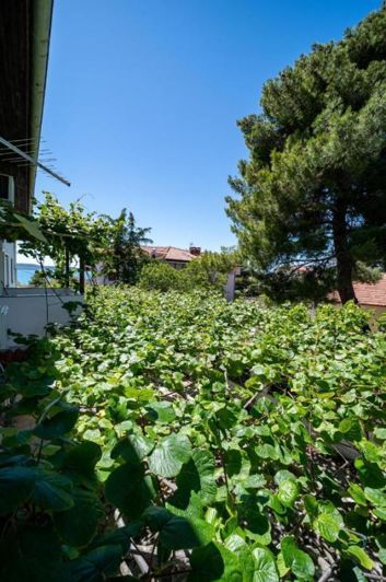 Image No.21-14 Bed Property for sale