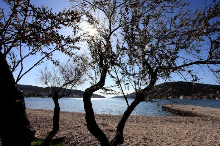 Image No.5-11 Bed Property for sale