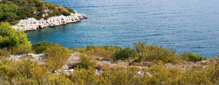 Image No.1-Property for sale