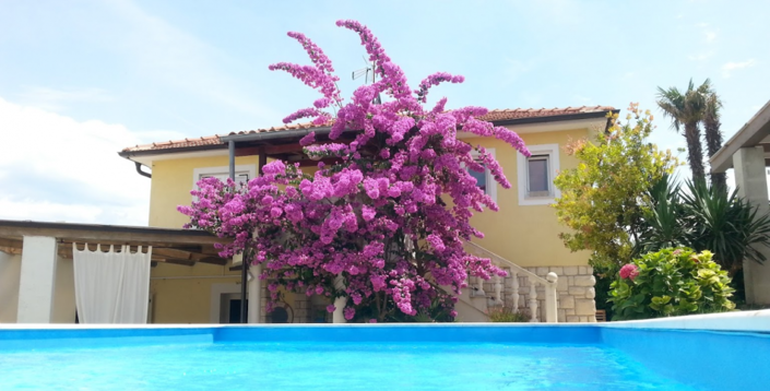 Image No.1-8 Bed Property for sale