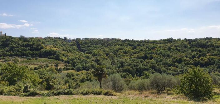 Image No.5-3 Bed Property for sale