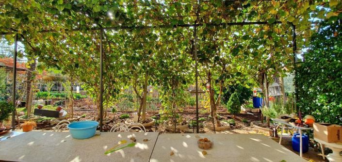 Image No.11-8 Bed Property for sale