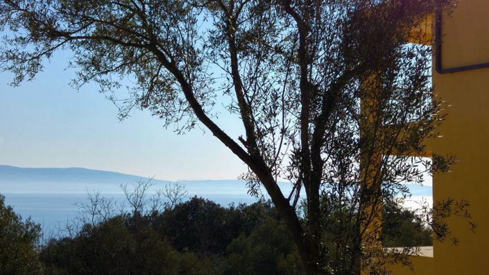 Image No.5-9 Bed Property for sale