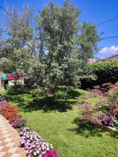 Image No.8-Property for sale