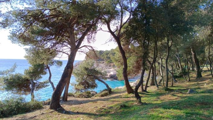 Image No.19-13 Bed Property for sale