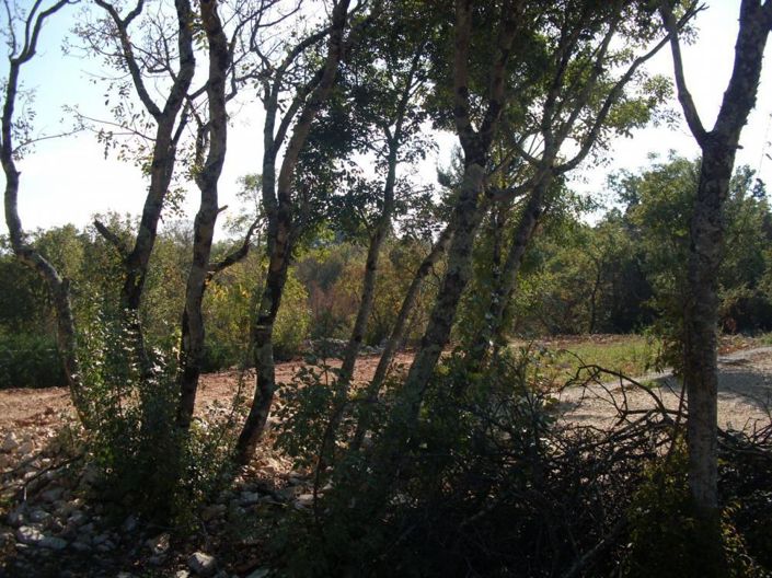 Image No.8-6 Bed Property for sale