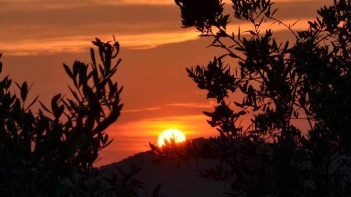 Image No.23-13 Bed Property for sale