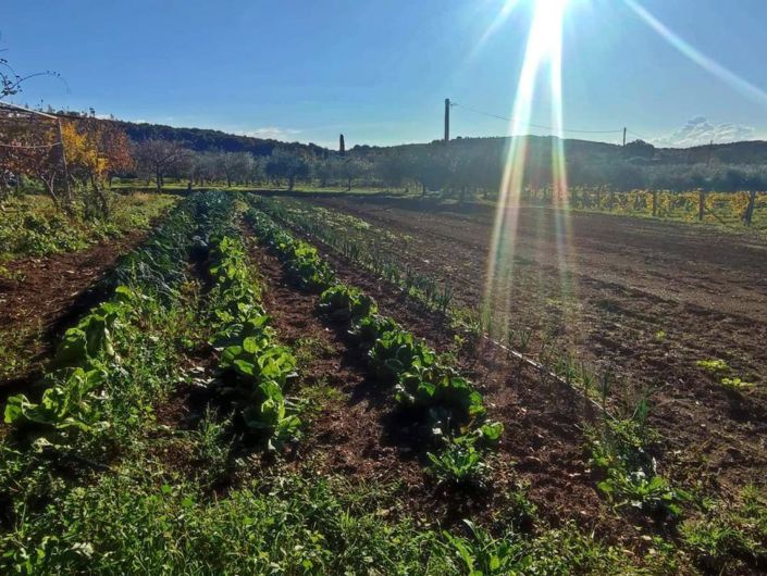 Image No.10-2 Bed Property for sale