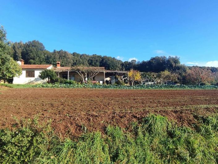 Image No.7-2 Bed Property for sale