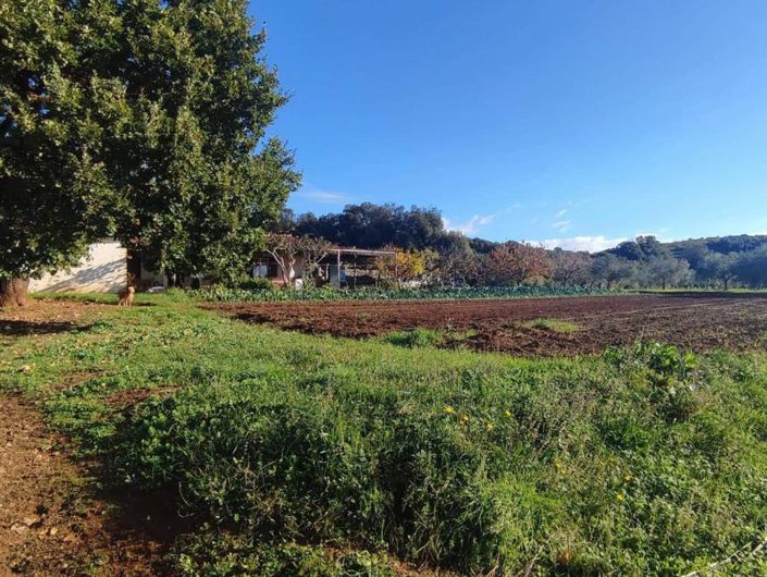 Image No.9-2 Bed Property for sale