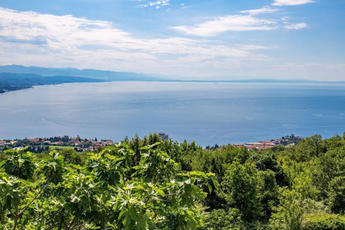 Image No.4-8 Bed Property for sale