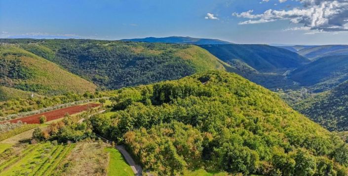 Image No.2-Property for sale