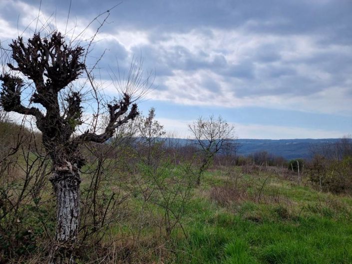 Image No.5-Property for sale