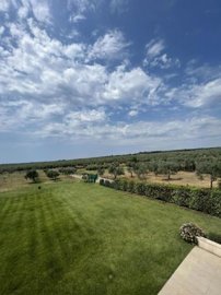 60796-312643