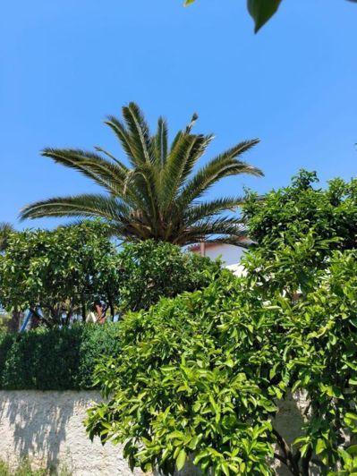 Image No.5-4 Bed Property for sale