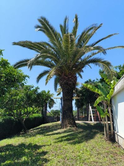 Image No.6-4 Bed Property for sale