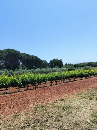 Image No.7-4 Bed Property for sale