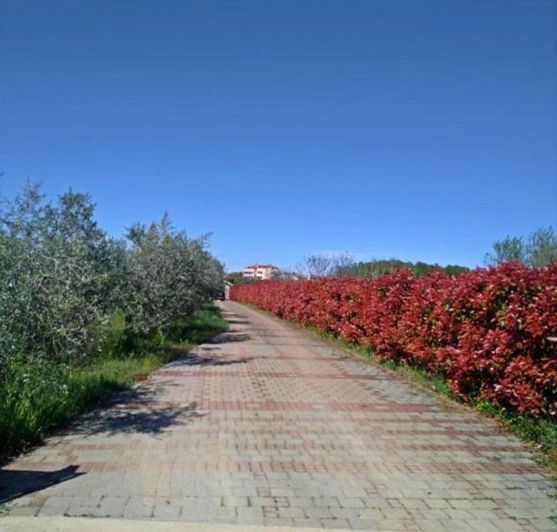 Image No.20-2 Bed Property for sale