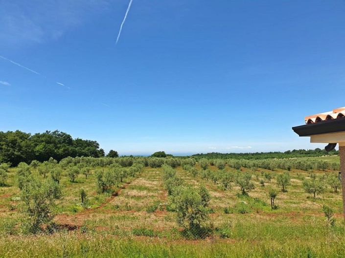 Image No.6-2 Bed Property for sale