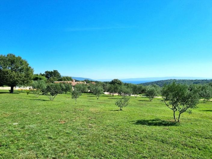 Image No.1-3 Bed Property for sale