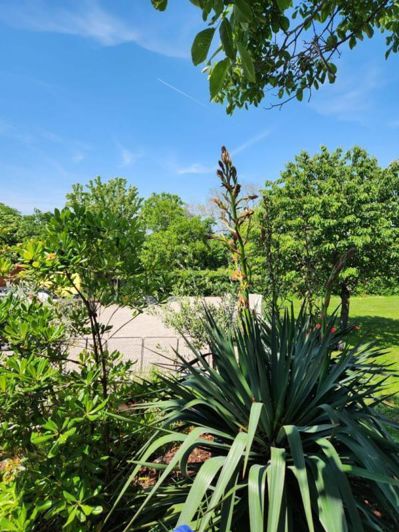 Image No.5-2 Bed Property for sale