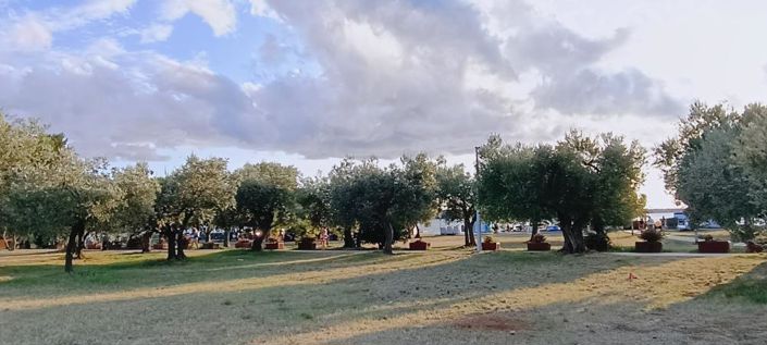 Image No.25-3 Bed Property for sale