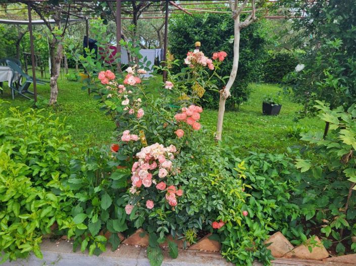 Image No.11-5 Bed Property for sale