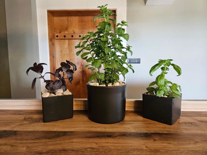 Image No.16-3 Bed Property for sale