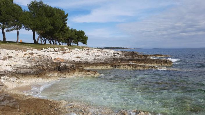 Image No.12-20 Bed Property for sale