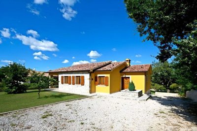 116725-505068