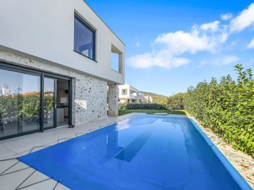 117646-508561