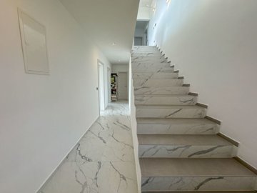 135497-522494