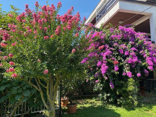 Image No.4-8 Bed Property for sale