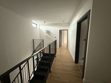 136365-525136