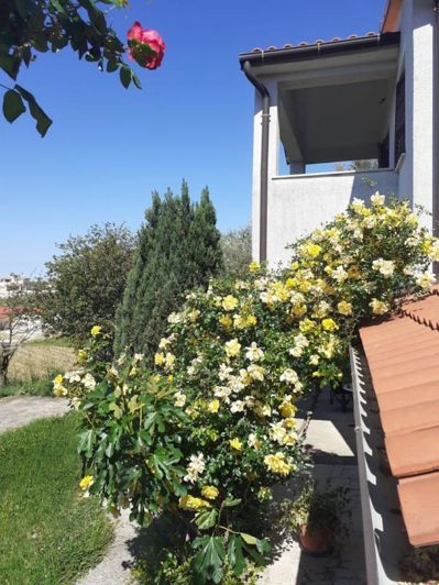 Image No.4-10 Bed Property for sale