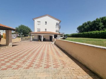 25667-213234