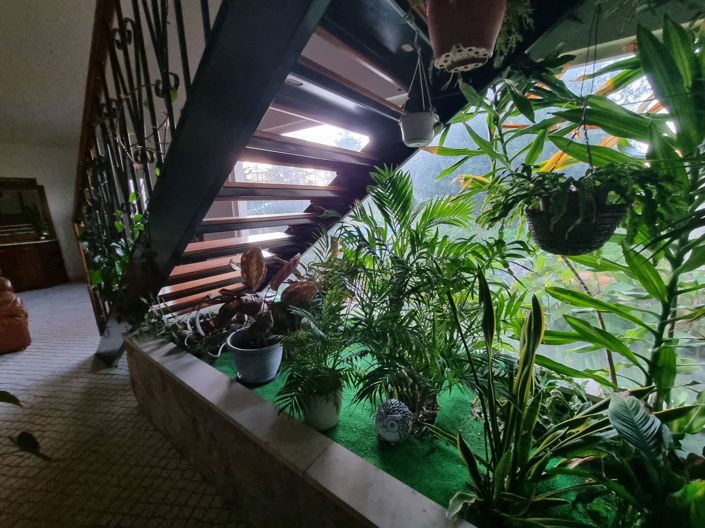 Image No.4-6 Bed House for sale