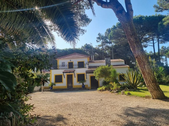 Image No.10-7 Bed House for sale