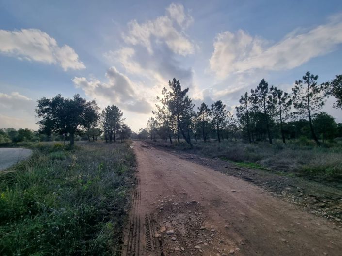 Image No.11-Land for sale