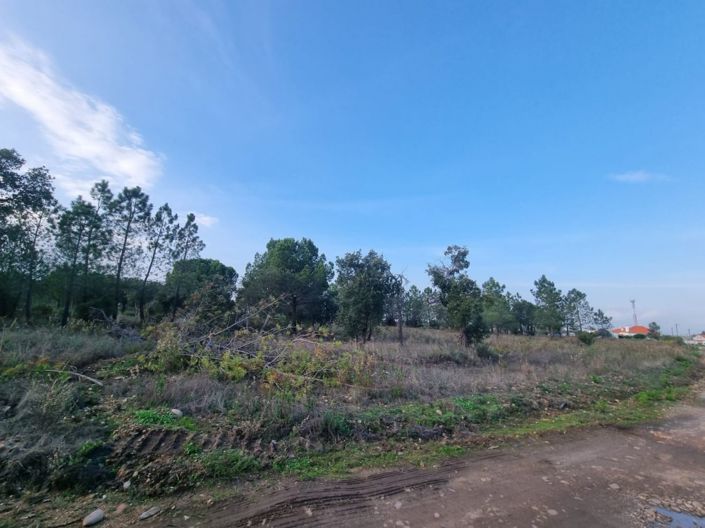 Image No.13-Land for sale